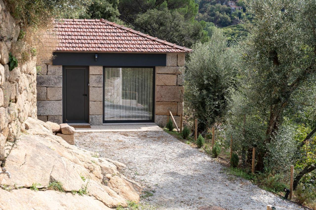 Quinta Da Ribeirinha - Douro River Pacos de Gaiolo Exterior foto